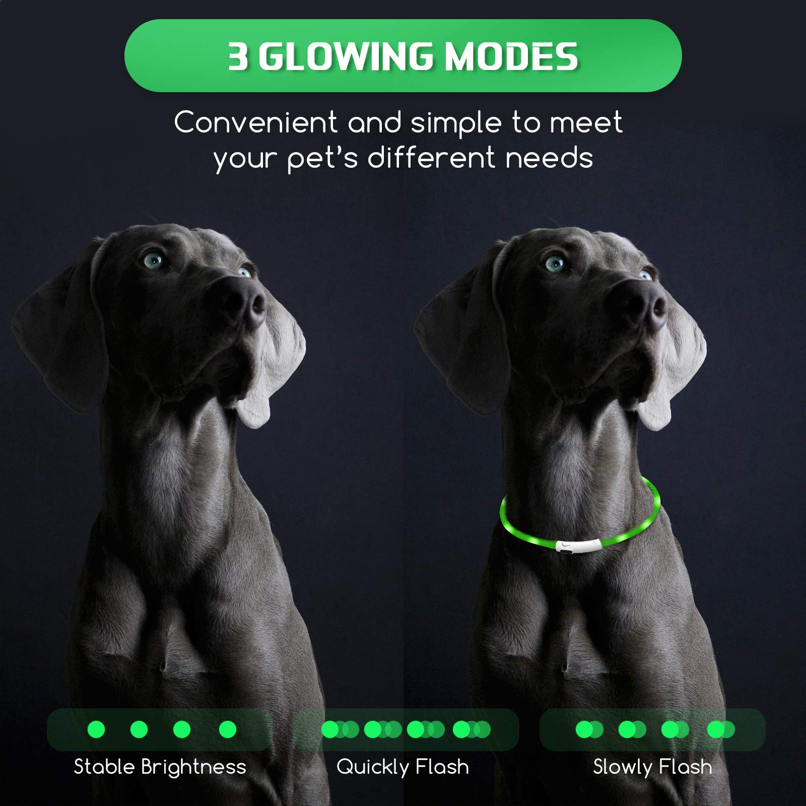 Weewooday green light up dog collar stands out on evening walks.