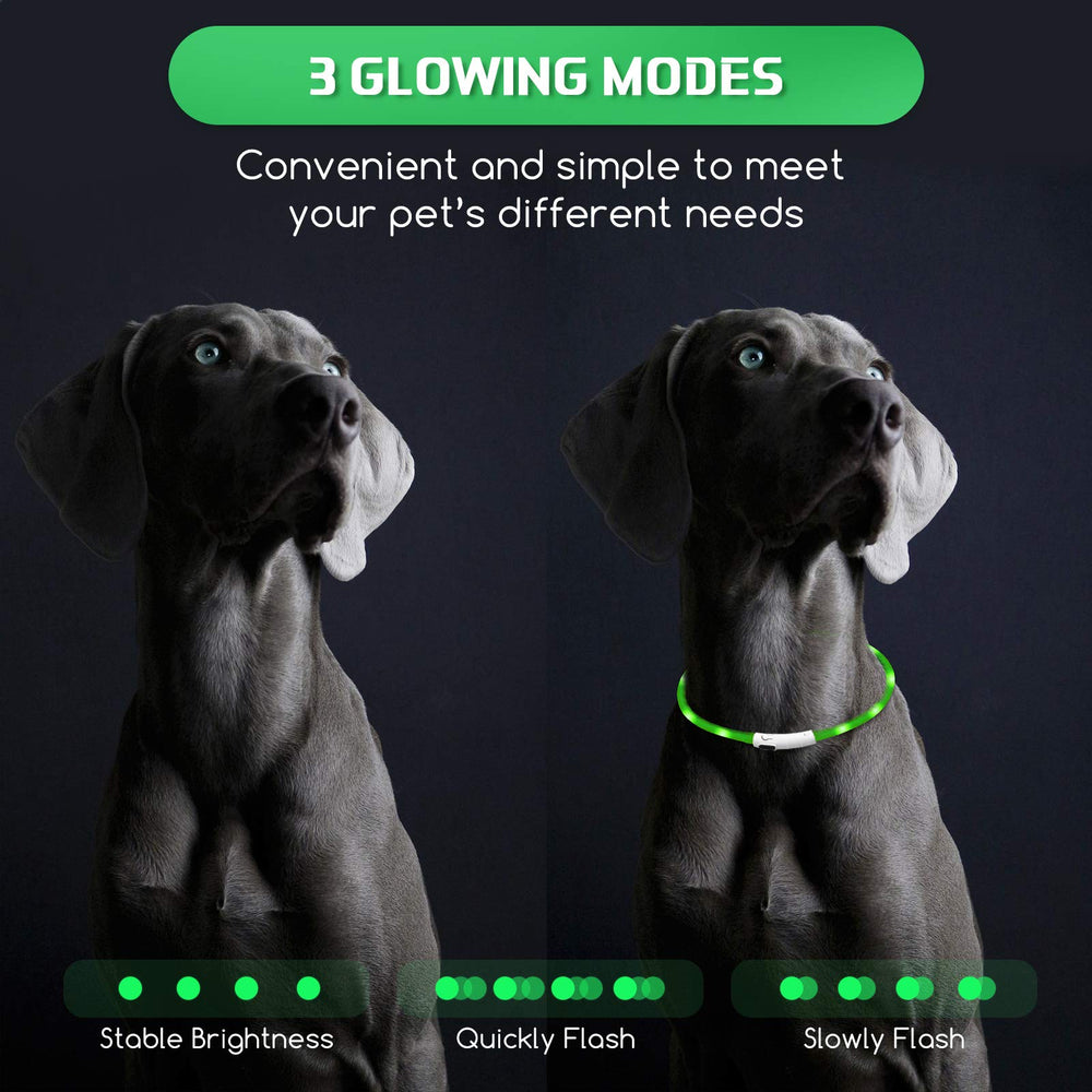 Weewooday green light up dog collar stands out on evening walks.