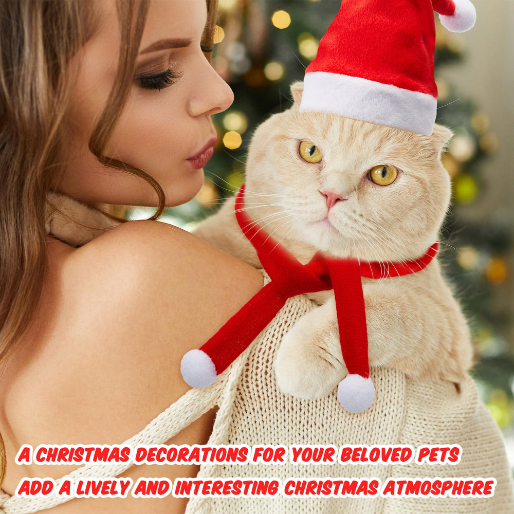 Weewooday mini Christmas set ideal for giftable pet photo opportunities.