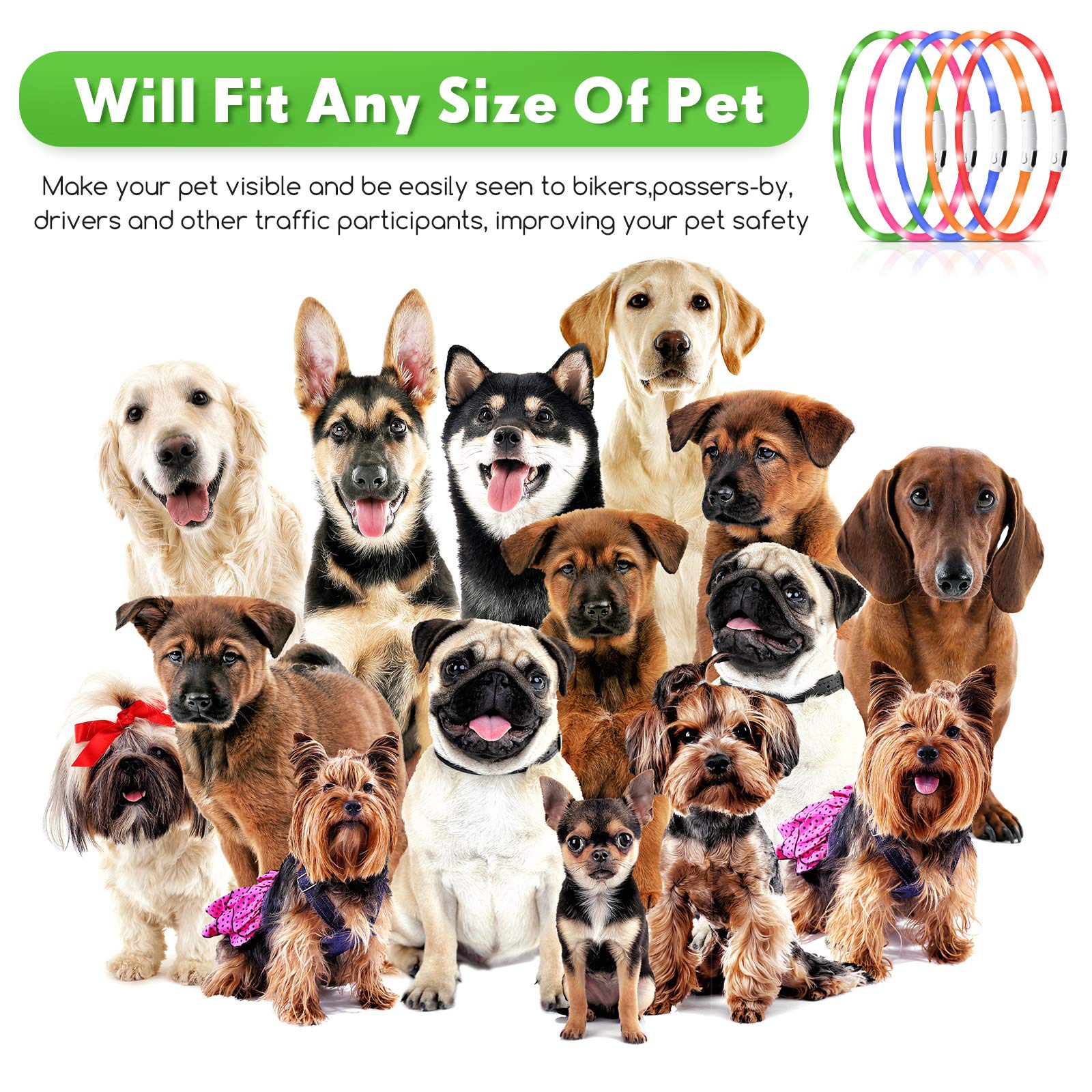 Weewooday night-walk scene with glow-mode collar demonstrates three modes for safety.