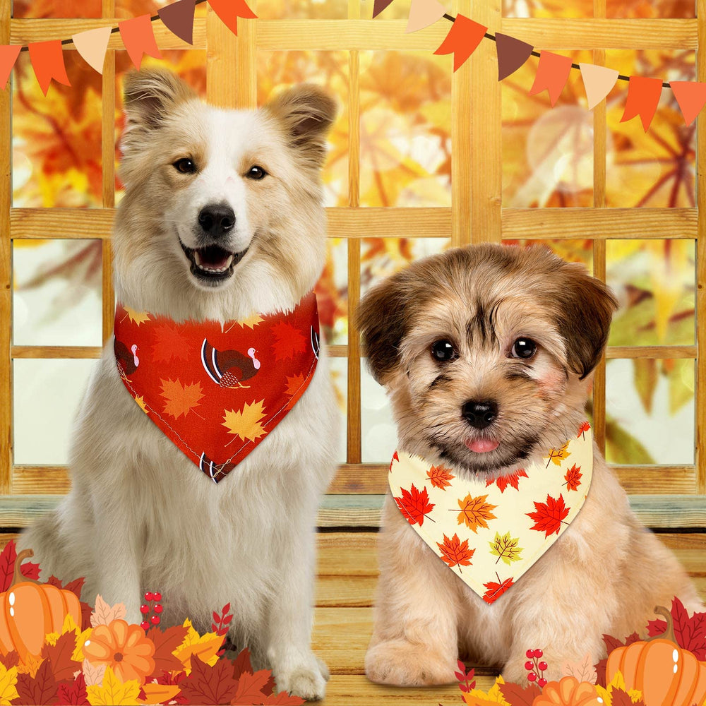 Weewooday occasion-wear-bandana ideal for parties, photos, and daily festive dressing.