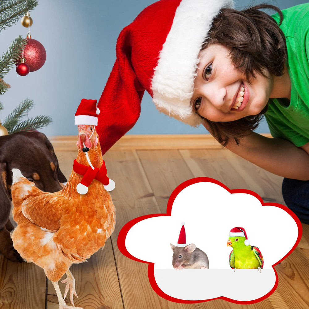 Weewooday parrot Santa hat provides cute holiday accent for birds