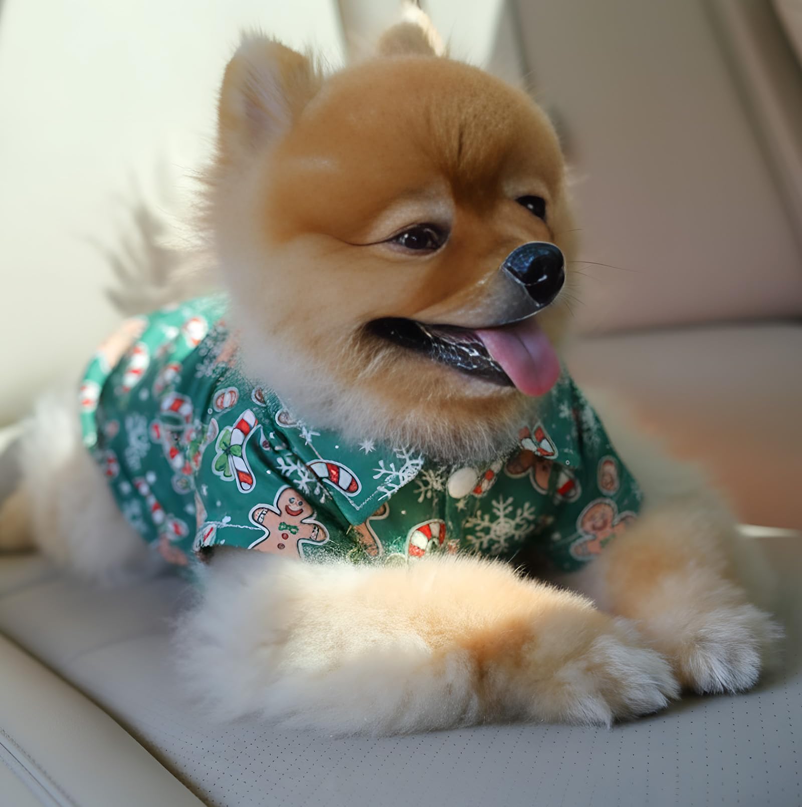Weewooday pullover dog shirt easy-clean fabric for busy owners