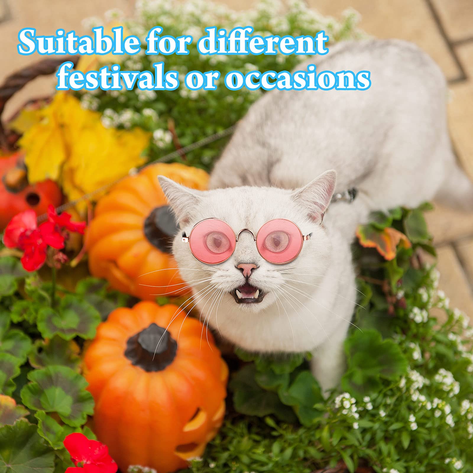Weewooday retro pet sunglasses with metal frames for themed parties and photos.