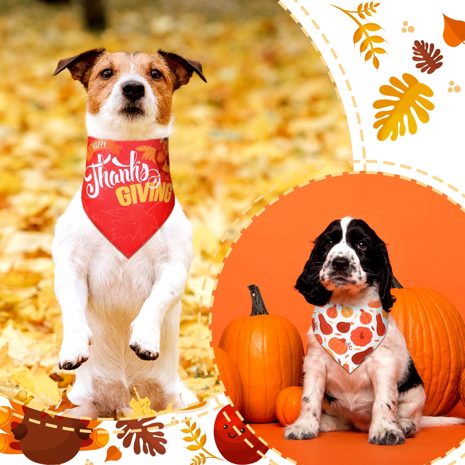 Weewooday sharing-pack-bandana set is perfect for gifting or splitting with fellow pet owners.