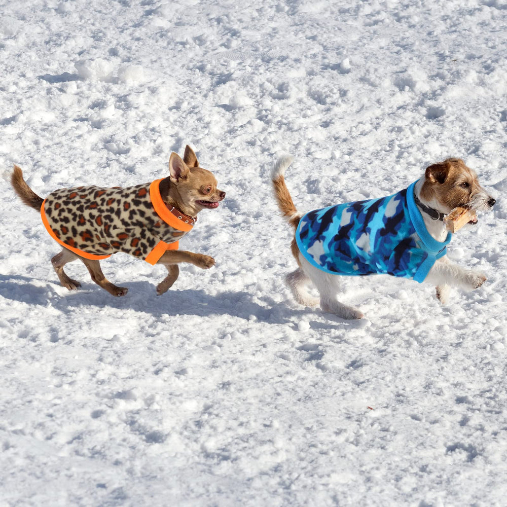 Weewooday small-dog sweater collection offers versatile styling