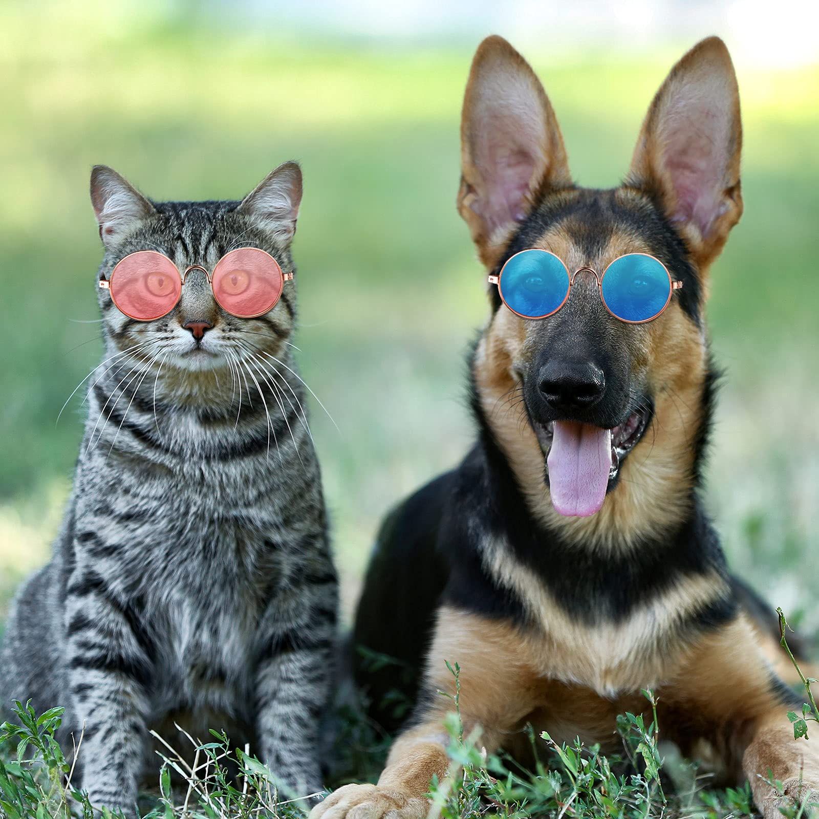 Weewooday small dogs sunglasses fashion accessory for outfits and social posts.
