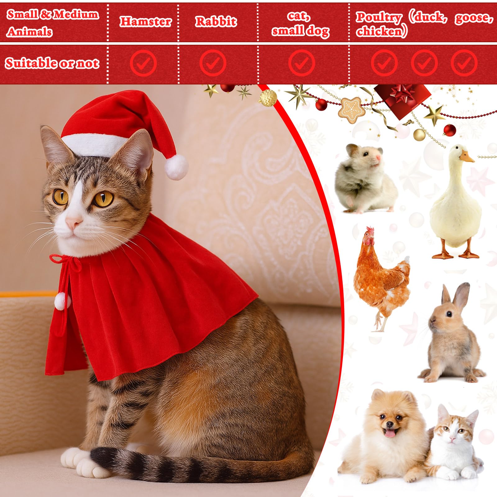 Weewooday small-size pet costume worn by a pet for festive photo opportunities