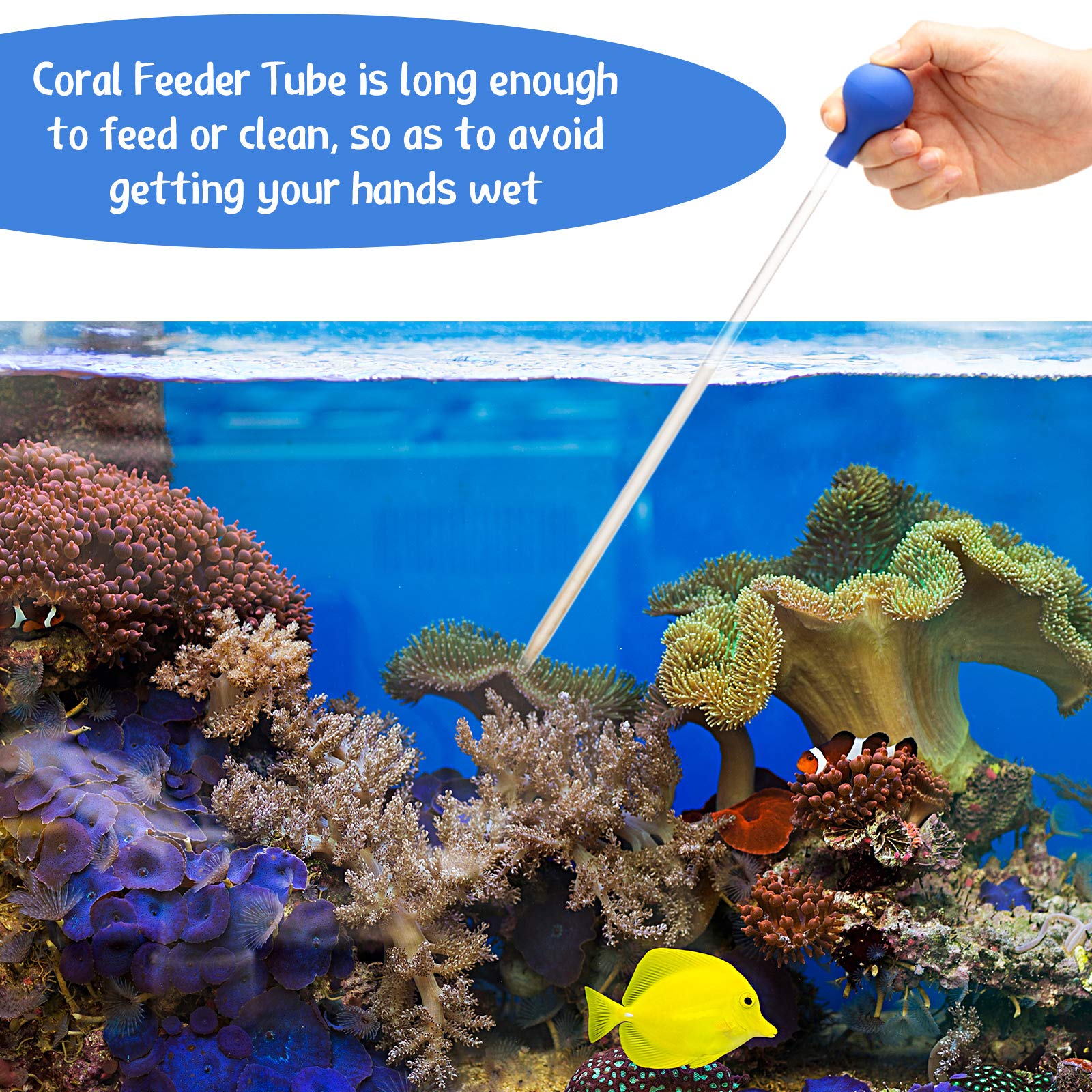 Weewooday tips-and-cleaning feature demonstrating safe cleaning after use.