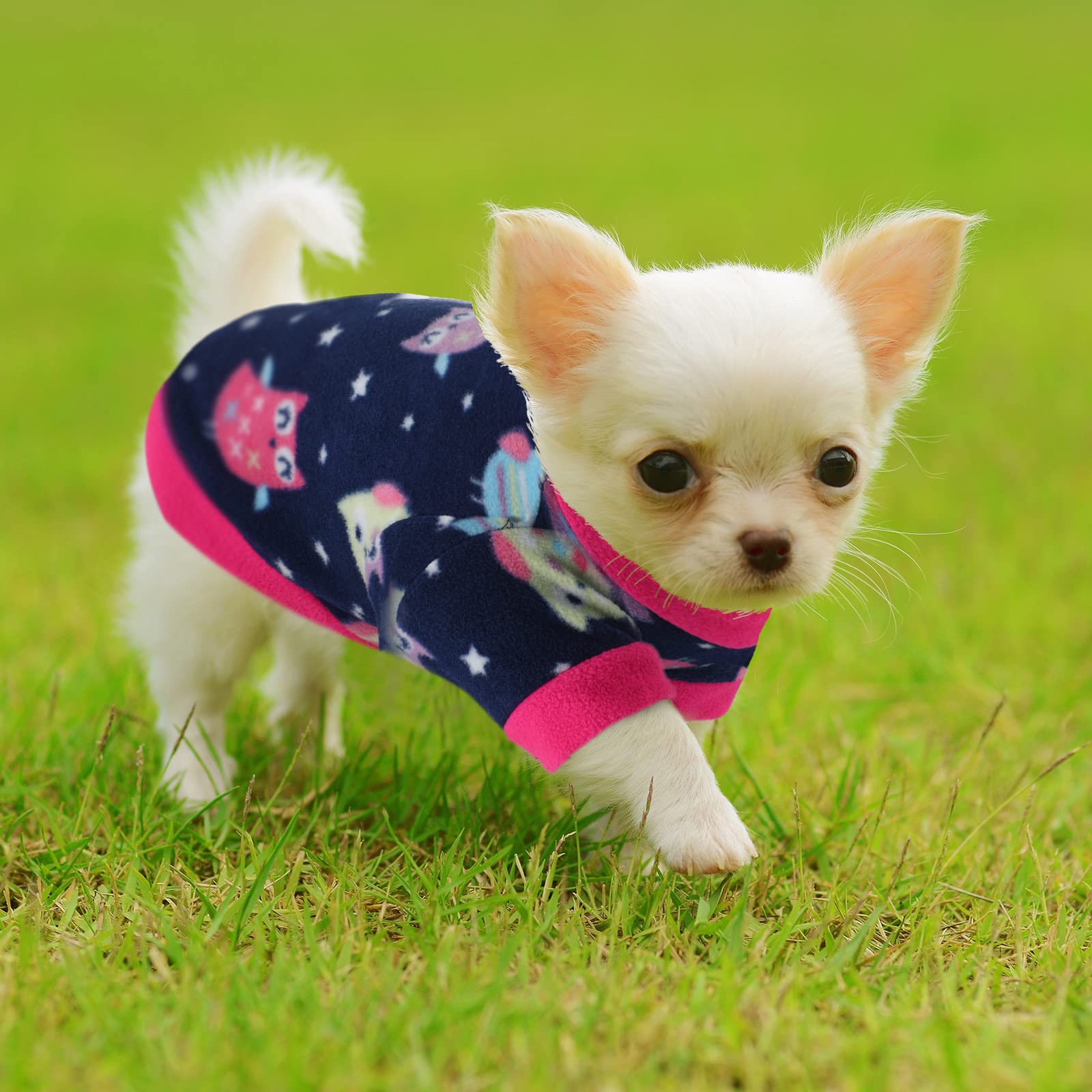 Weewooday washable dog sweaters stay vibrant after washing and reuse.
