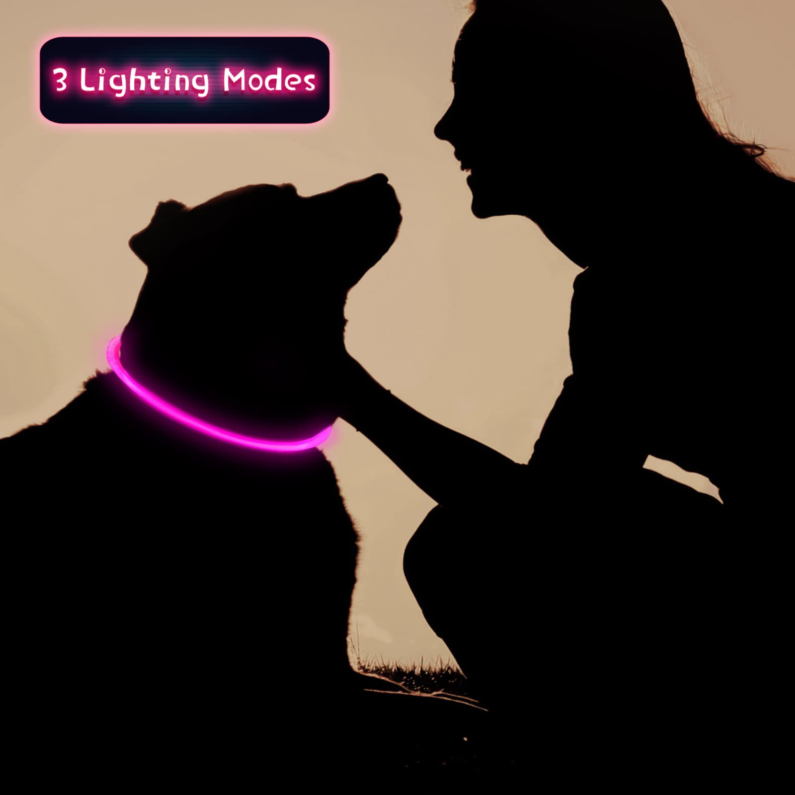 Weewooday waterproof LED dog collar glows in rain for safer night adventures.