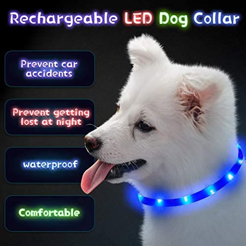 Weewooday waterproof dog collar suitable for light rain conditions