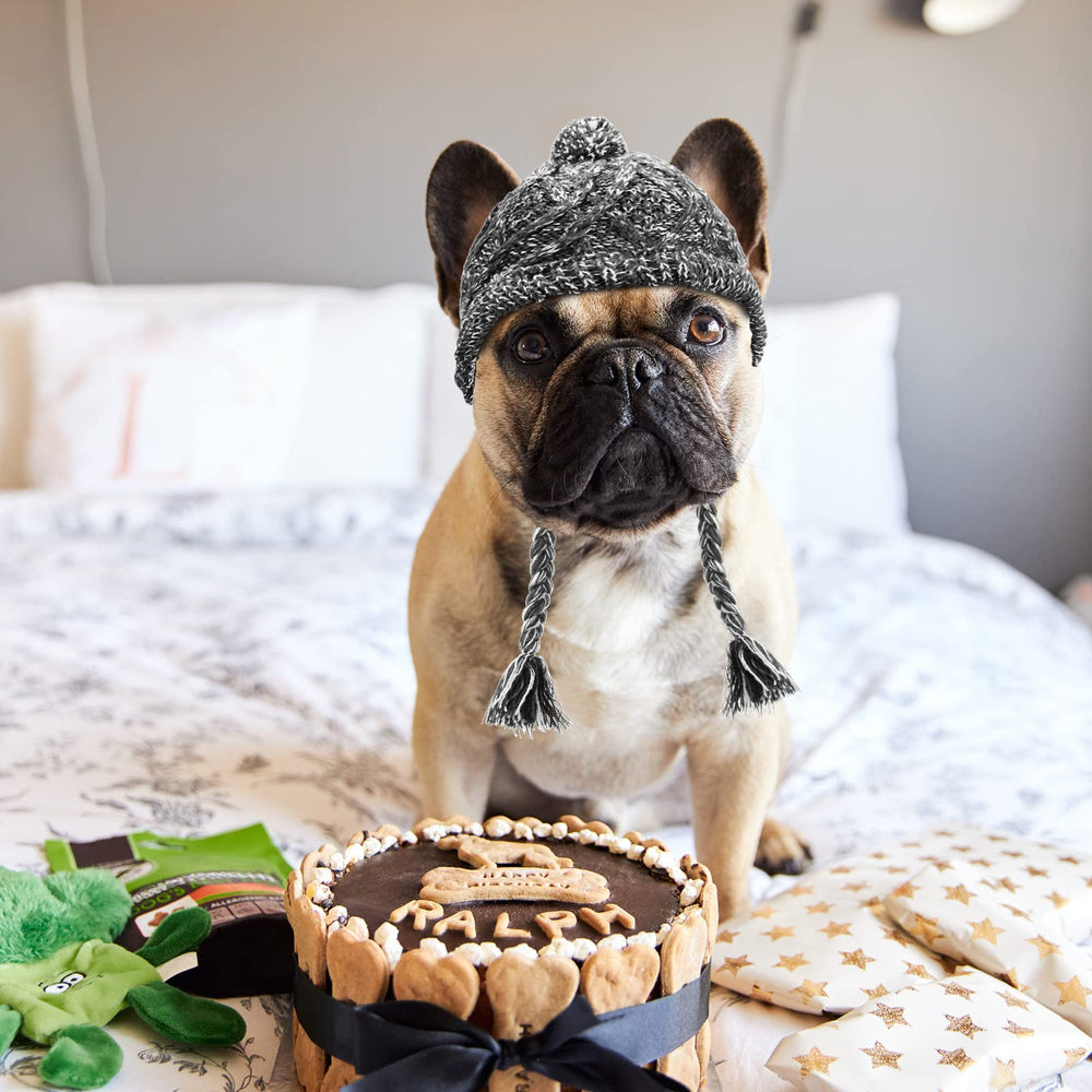 Weewooday winter dog hat purple front view with ear holes adds festive style and warmth.