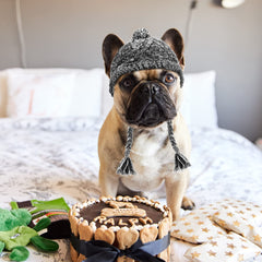Weewooday winter dog hat purple front view with ear holes adds festive style and warmth.