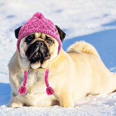 Weewooday winter dog hat purple side view highlighting secure fit for movement.