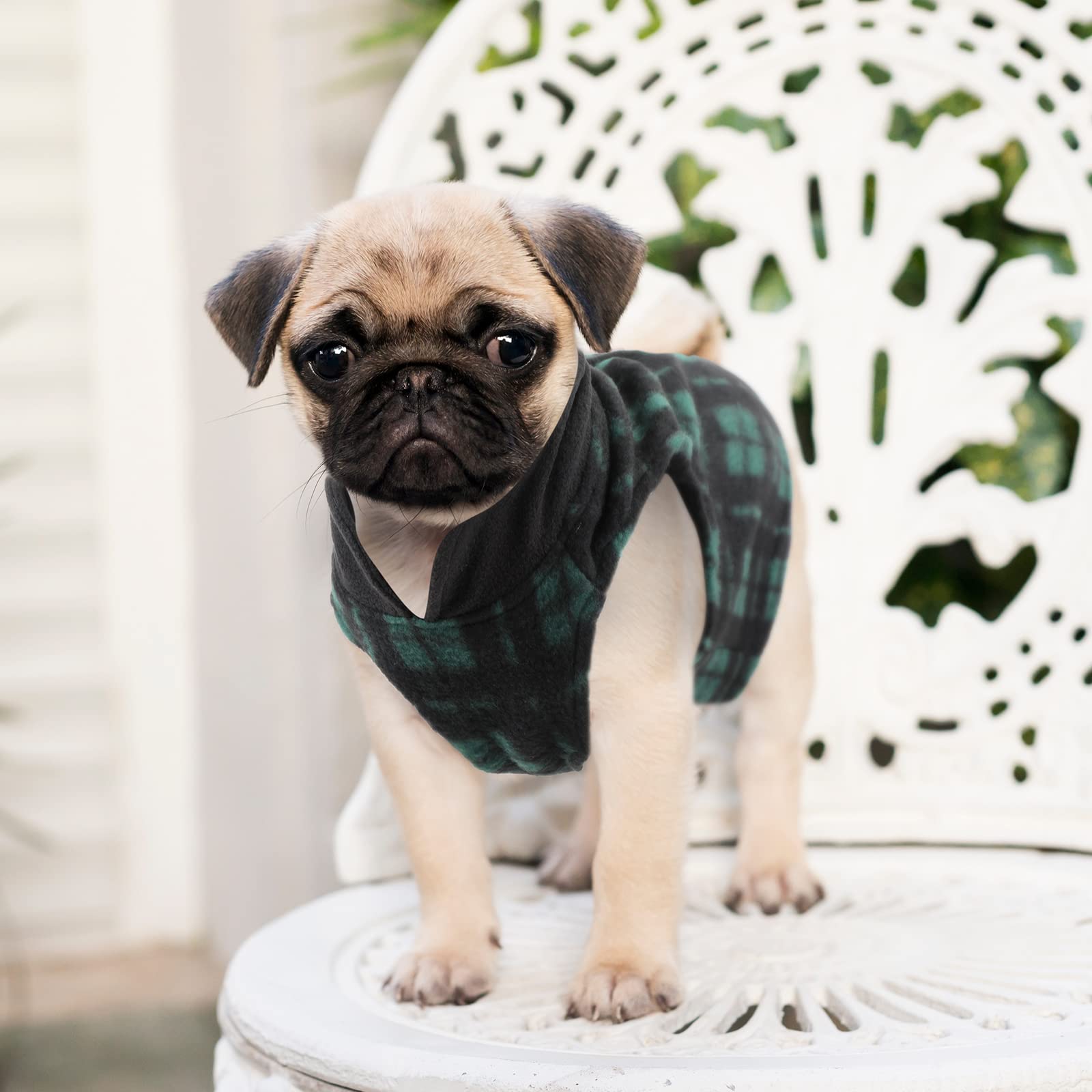 Weewooday multi-patterns showcase stylish options for daily wear and special occasions.