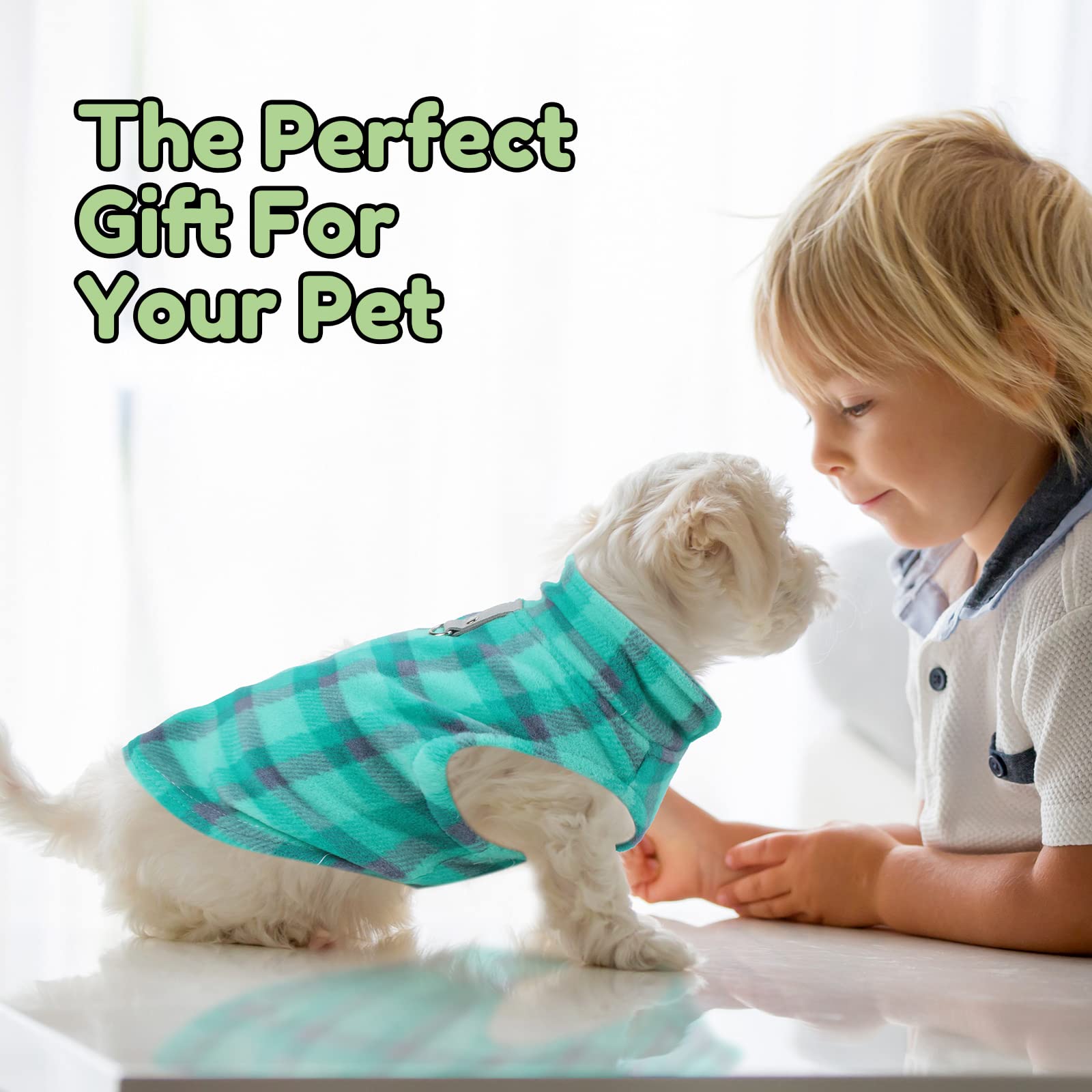 Weewooday sweater on a puppy demonstrates comfortable warmth during cold outings.