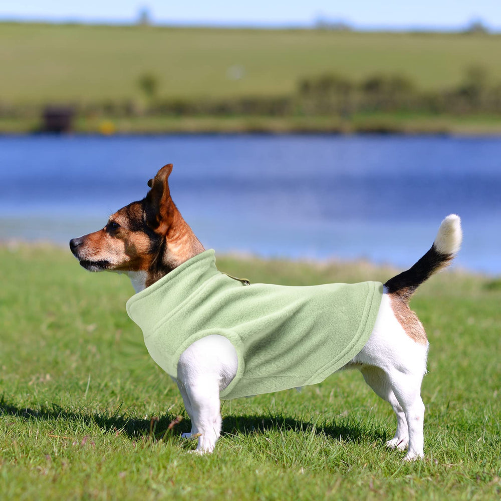 Weewooday package contents reveal four cozy sweaters ready for daily wardrobe swaps.