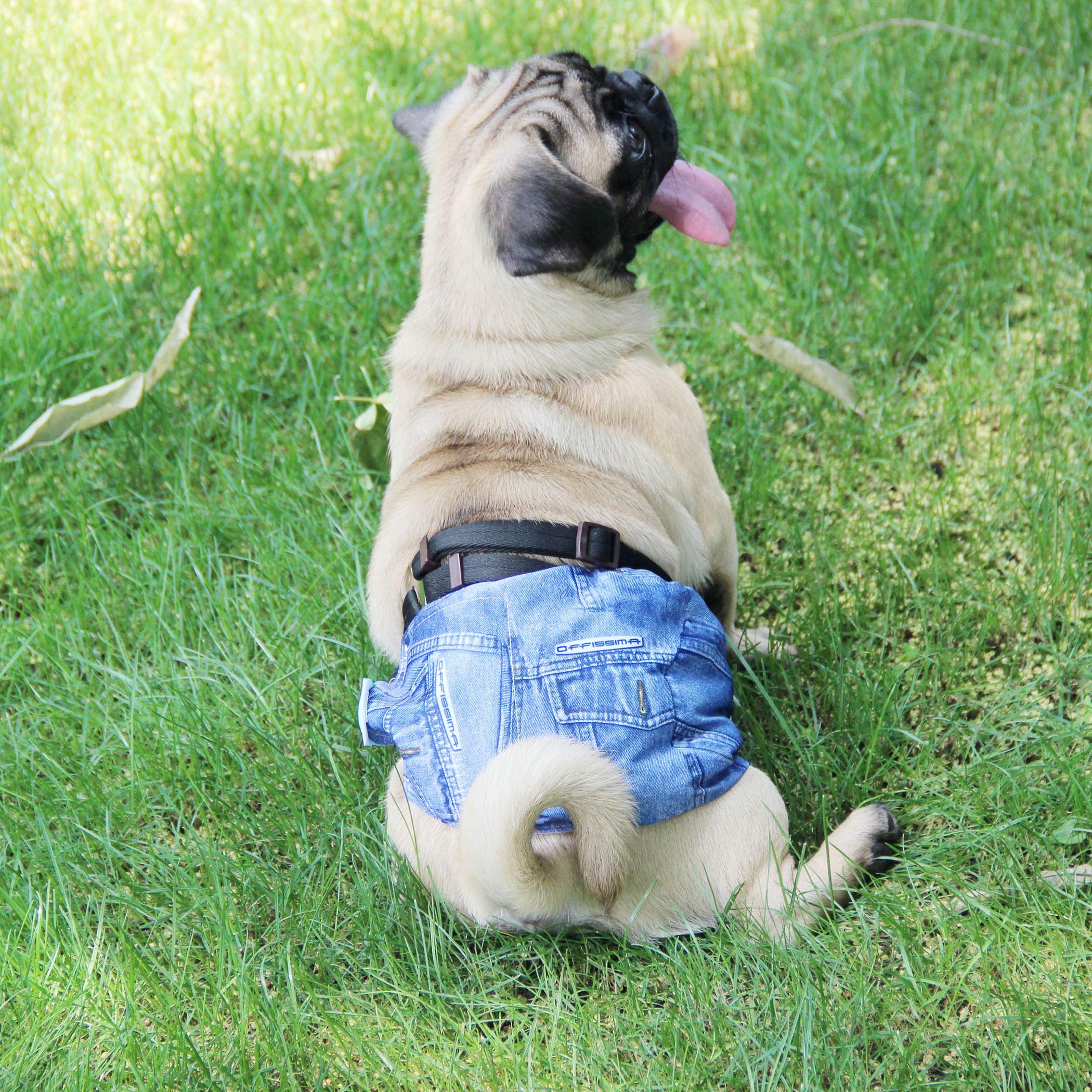 Wegreeco jeans washable dog diaper puppy travel use reduces mess