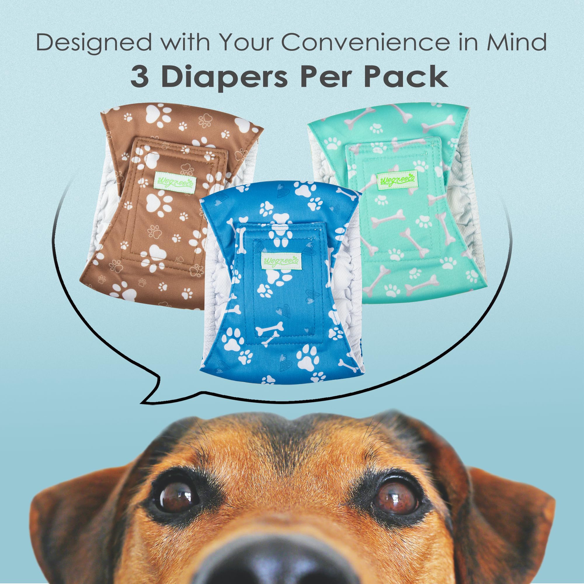 Wegreeco belly band with measurement guide helps find the right fit for medium dogs.