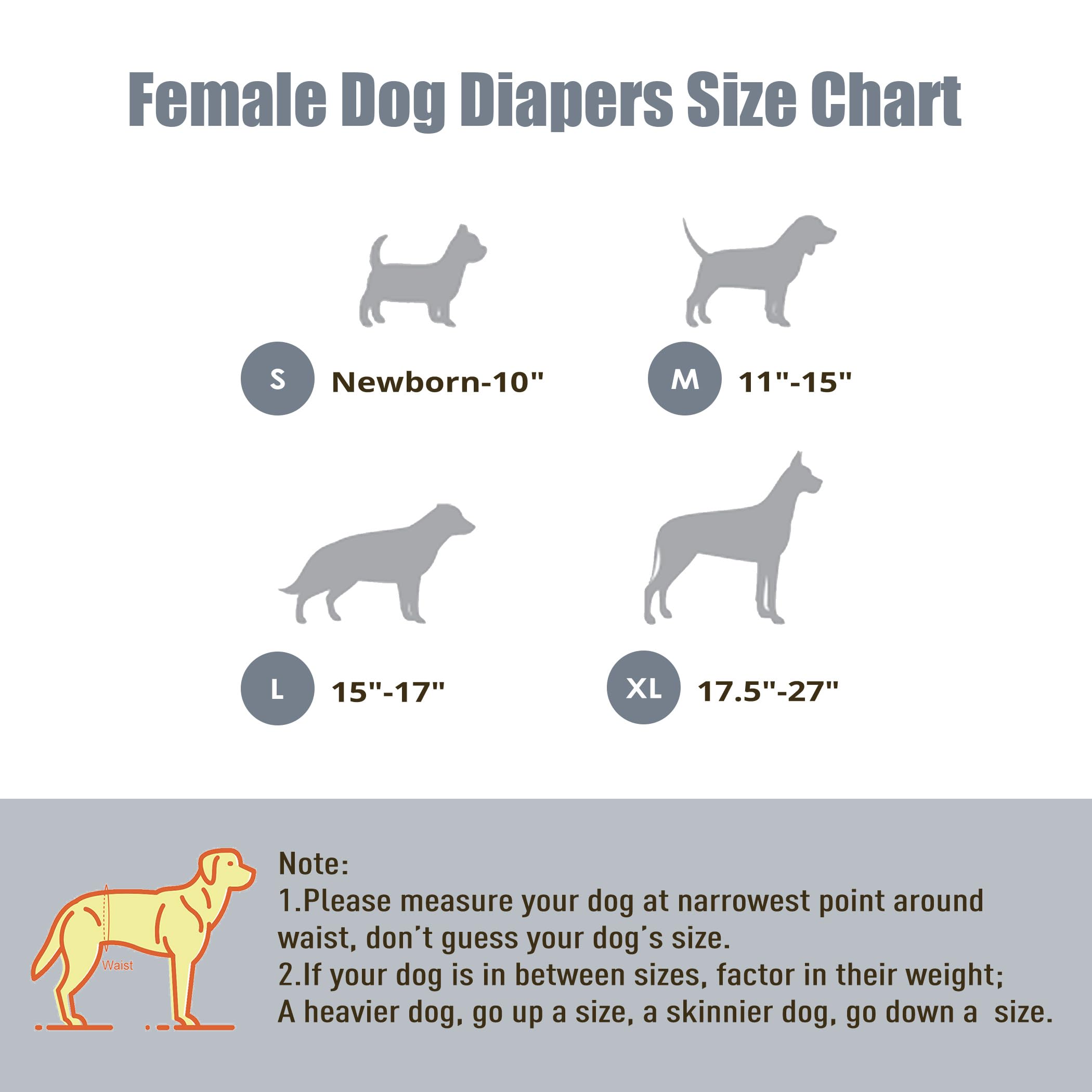 Wegreeco dog diapers medium leopard closure shows secure, comfortable fit.