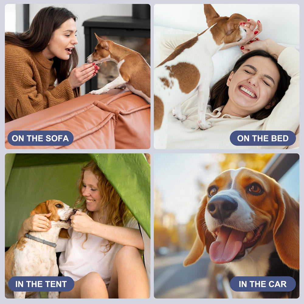 Wegreeco reusable dog diapers reduce landfill waste with durable fabric.