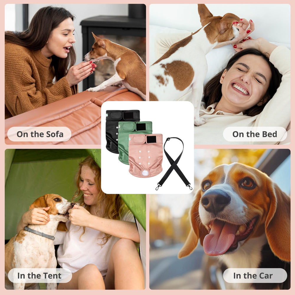 Wegreeco size guide helps choose the right diaper fit for your dog