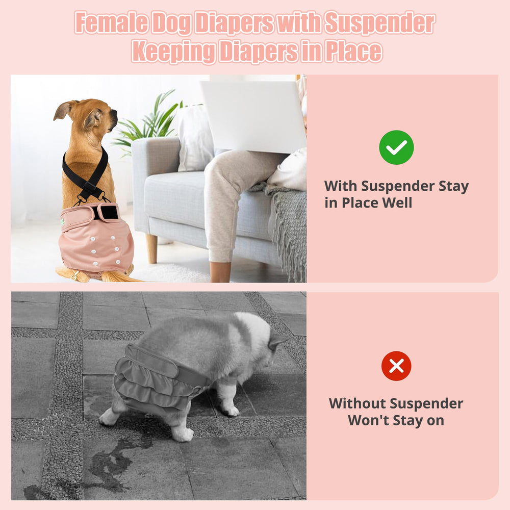 Wegreeco soft fabric dog diaper for comfortable all-day wear