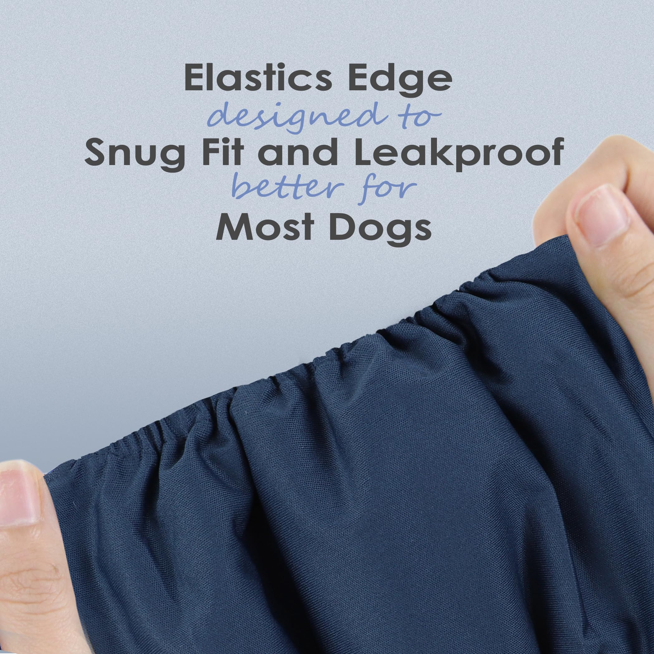 Wegreeco measuring waist guide shows 18–21 inch fit for large dogs