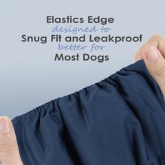 Wegreeco measuring waist guide shows 18–21 inch fit for large dogs