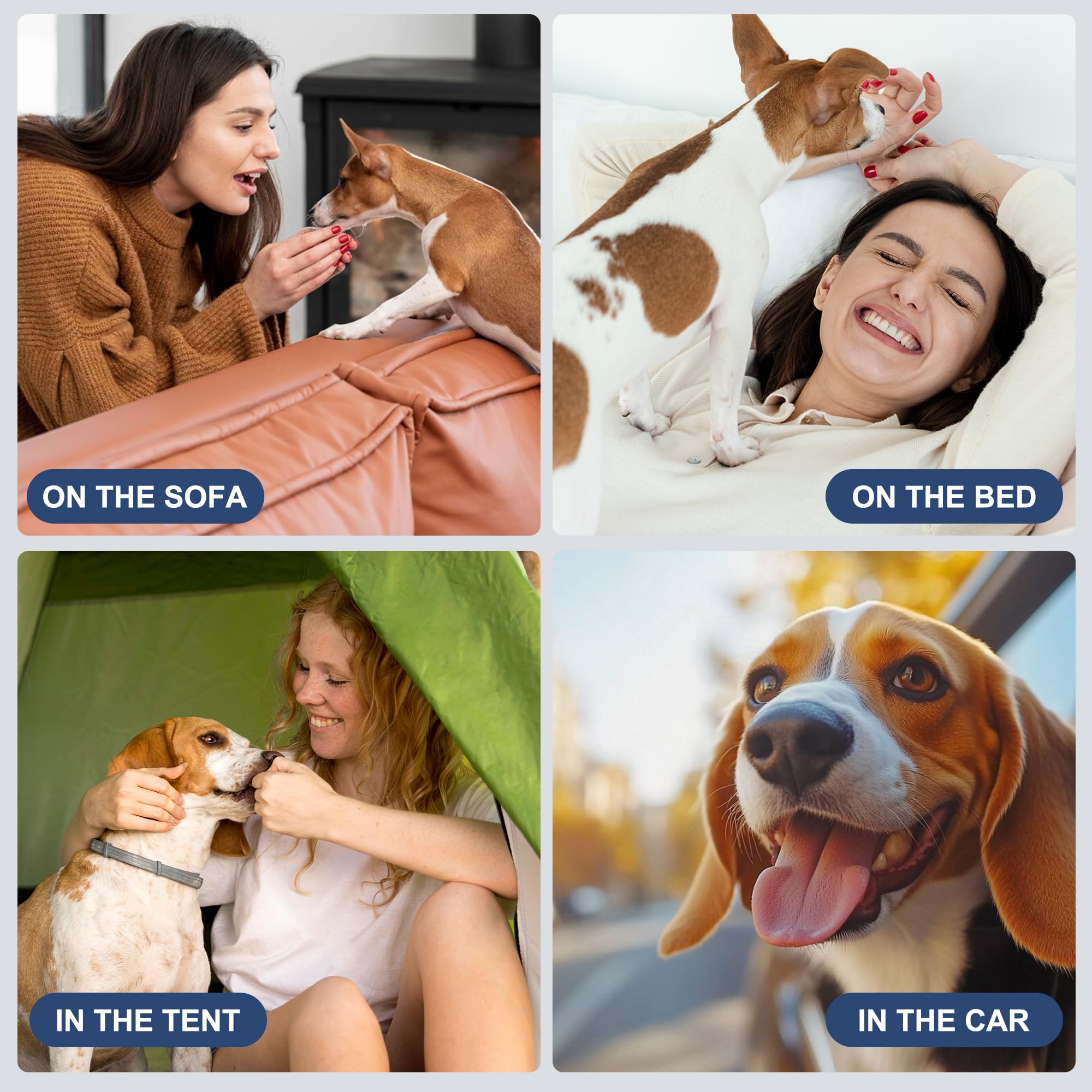 Wegreeco small dog diapers five-pack set, ideal for quick changes and travel.