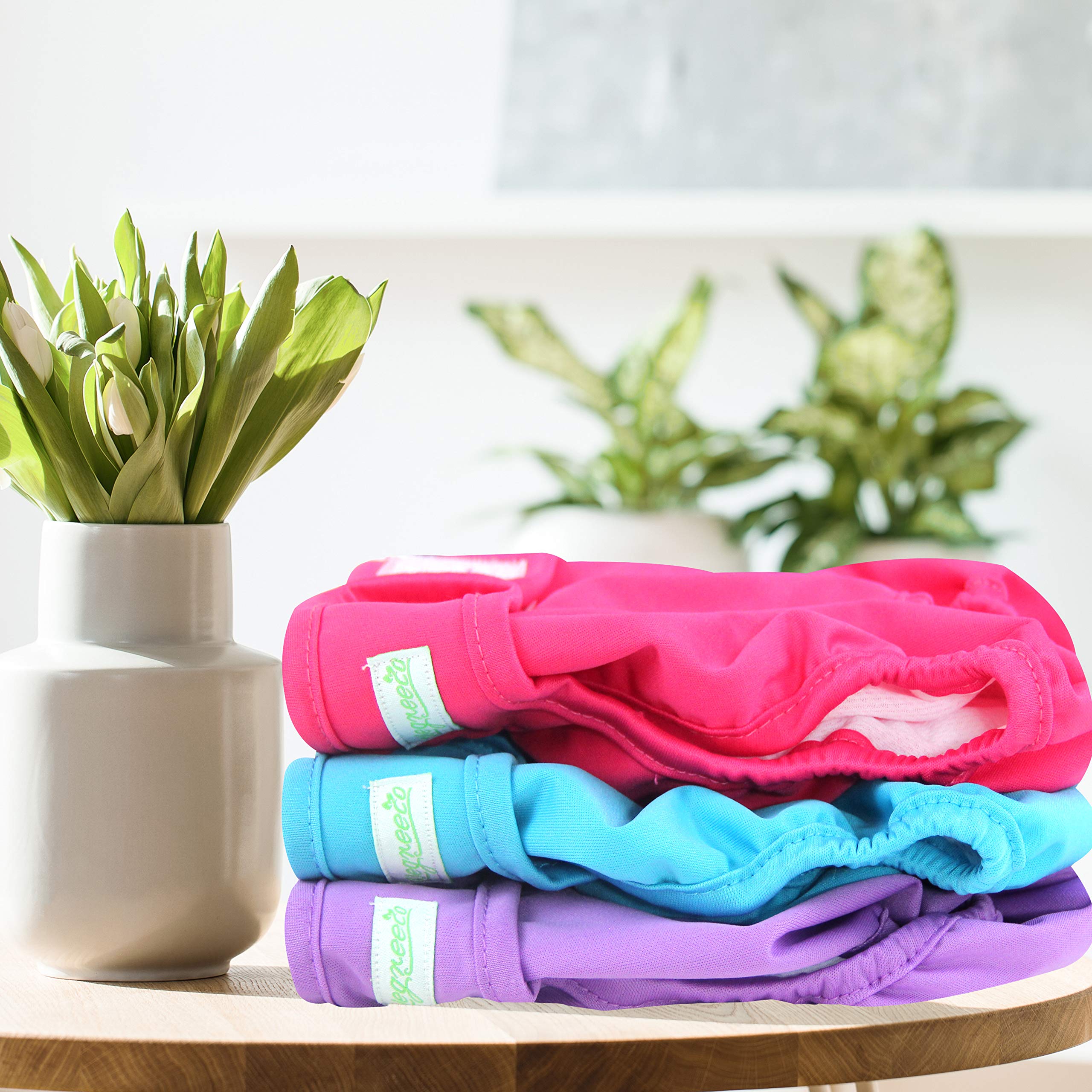 Wegreeco diaper worn by a dog at home to reduce mess.