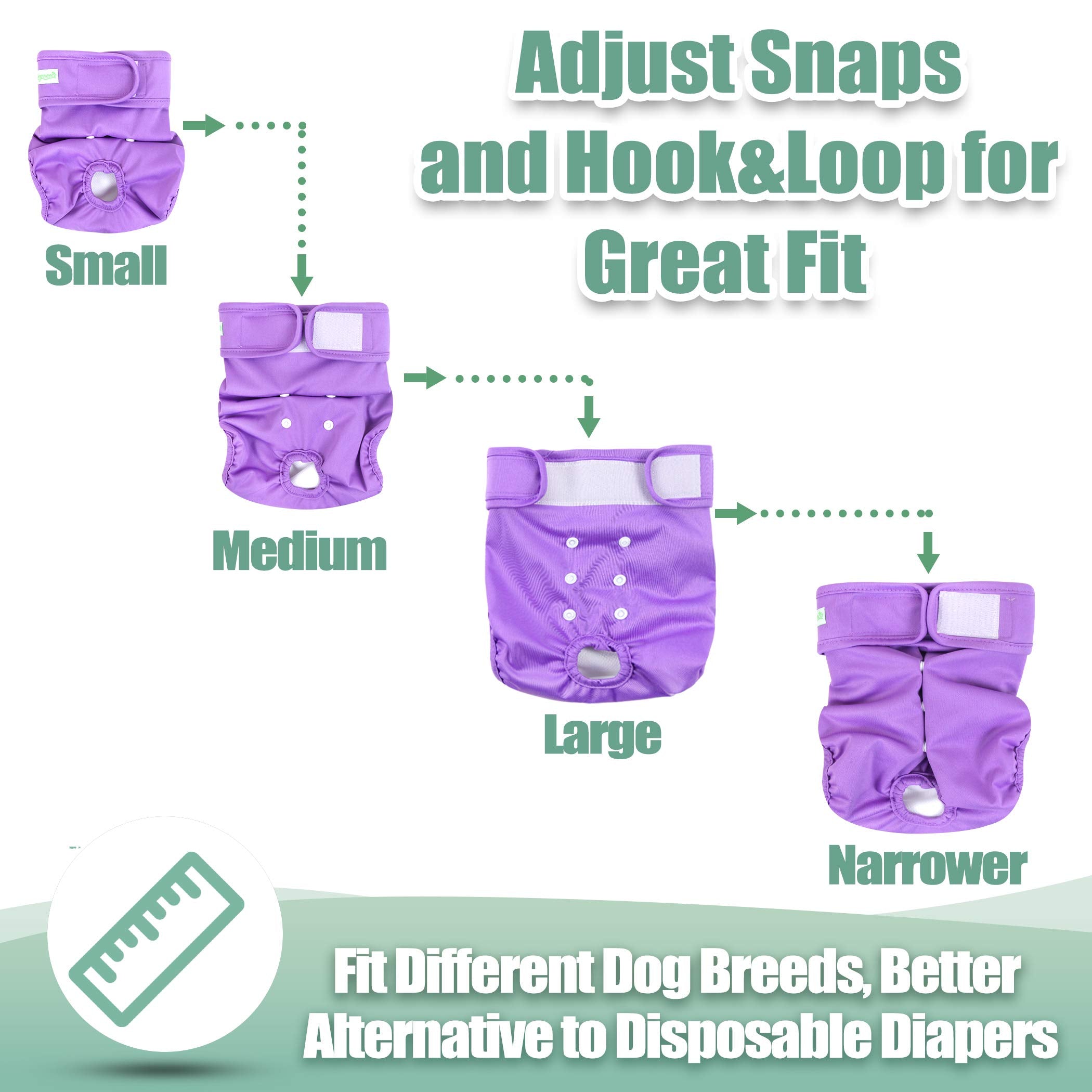 Wegreeco hook-and-loop closures enabling quick, fur-friendly changes.