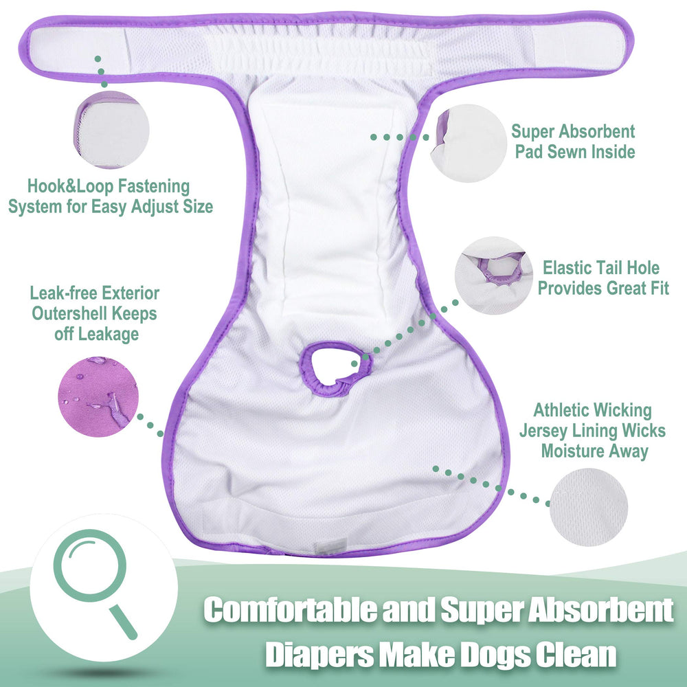 Wegreeco diaper in-use on small dog demonstrates easy wrap-on