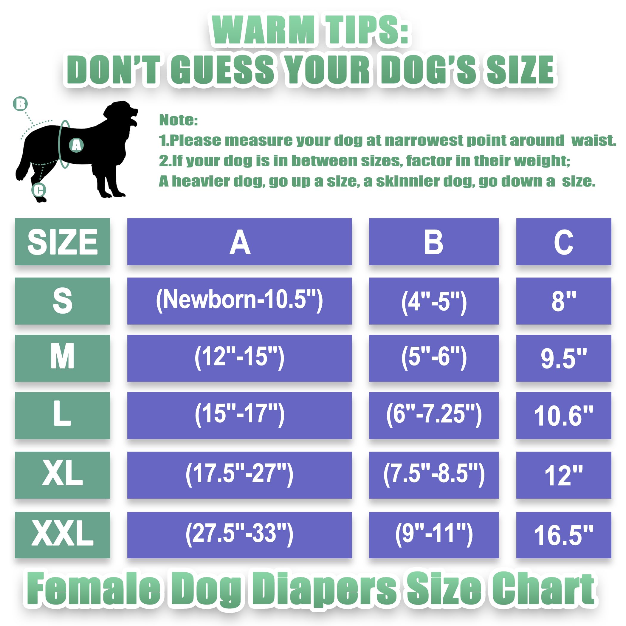 Wegreeco medium dog diaper demonstrating fit guidance for comfort.