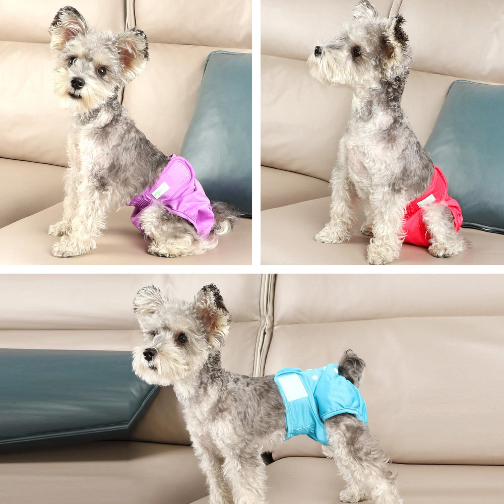 Wegreeco three-color pack of female dog diapers ready for use