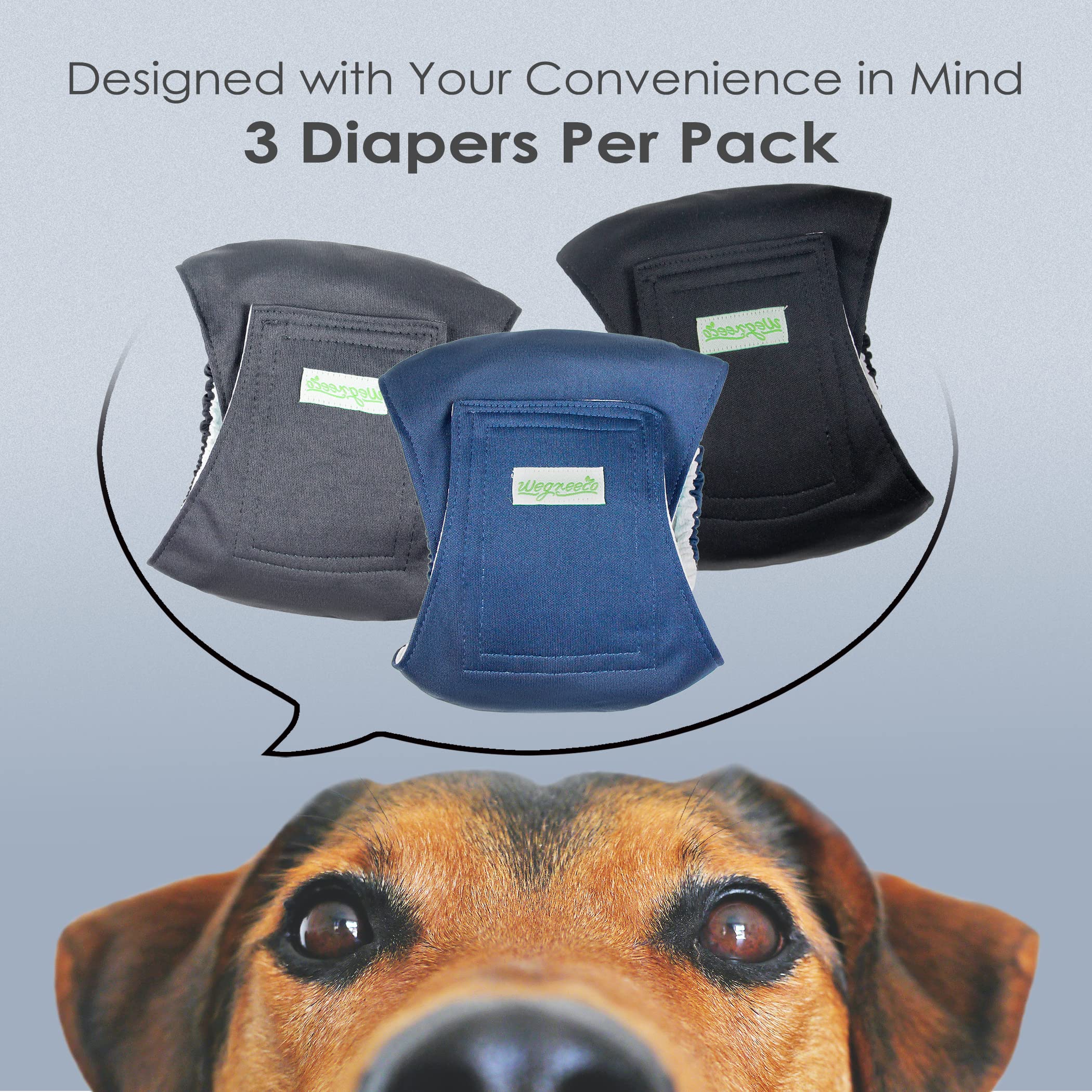 Wegreeco belly band charcoal side view shows comfy jersey inner for dry feel