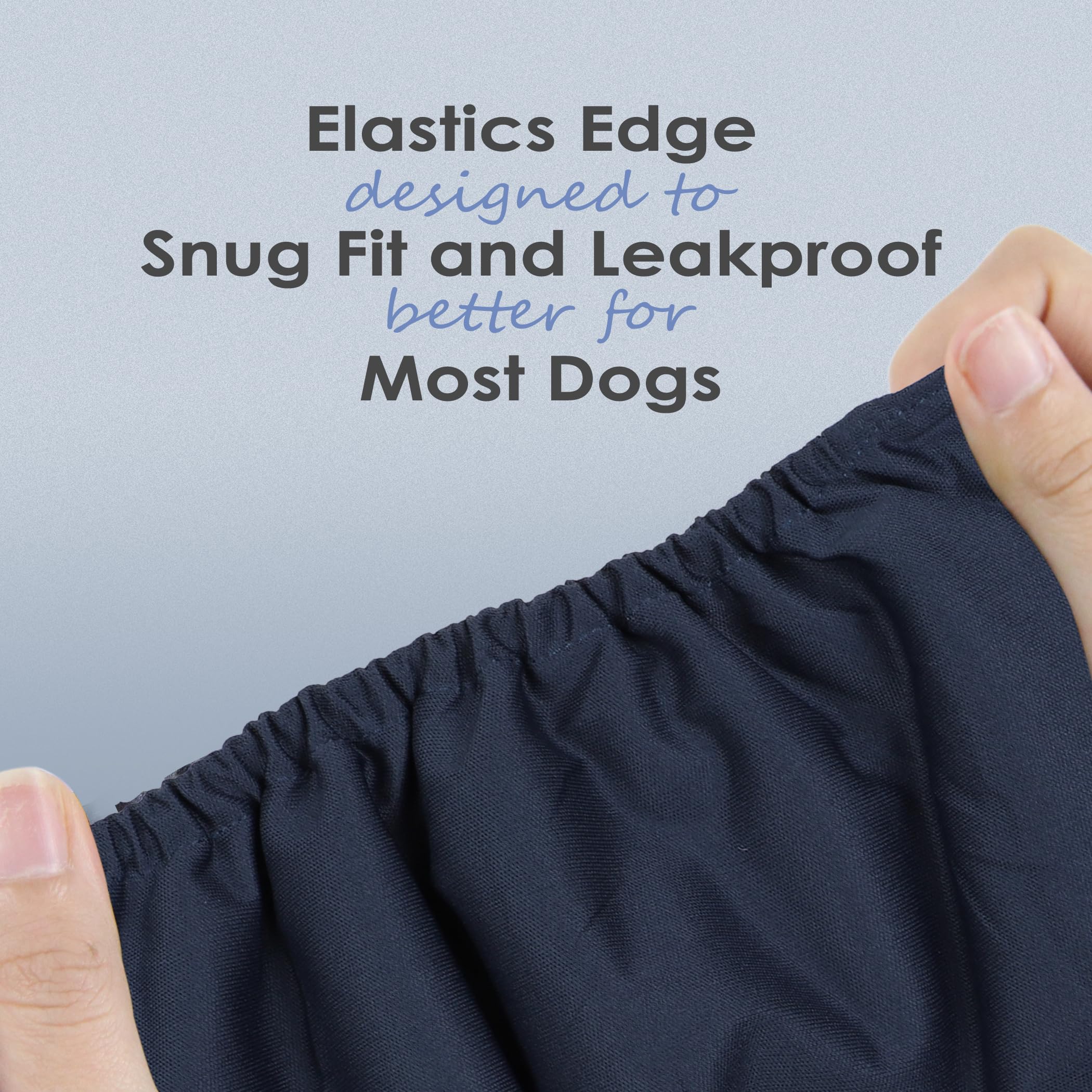 Three-pack of wegreeco belly bands shown worn by a dog for everyday use