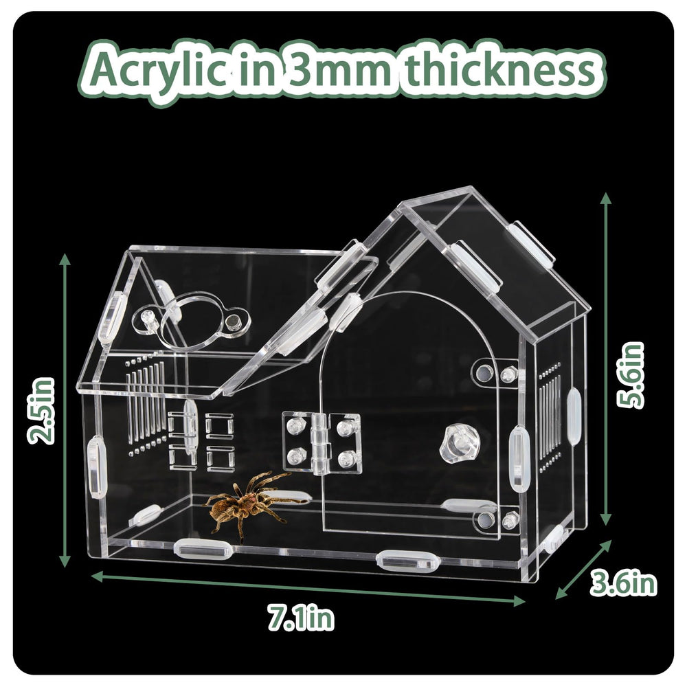 WEIKEJINA acrylic enclosure top view highlights spacious interior for tiny tarantulas