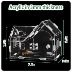 WEIKEJINA acrylic enclosure top view highlights spacious interior for tiny tarantulas