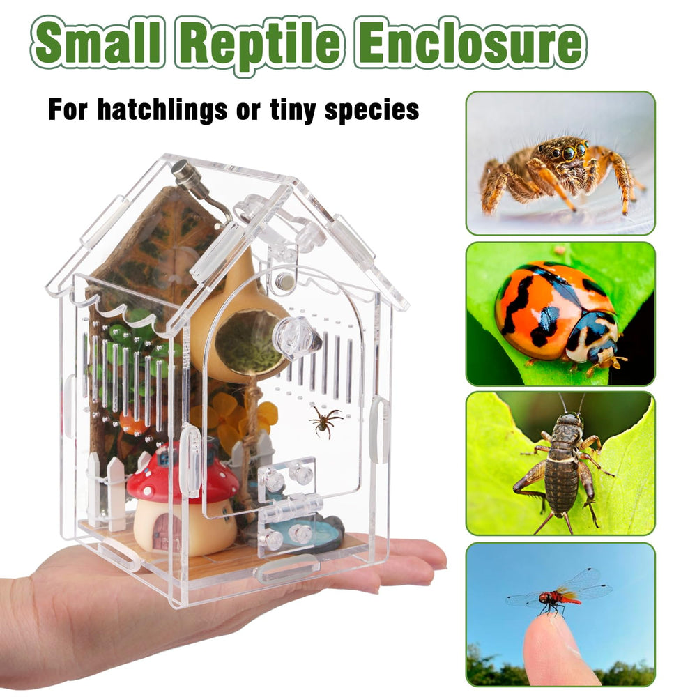 WEIKEJINA Jumping Spider Enclosure accessories shot highlights quick setup essentials