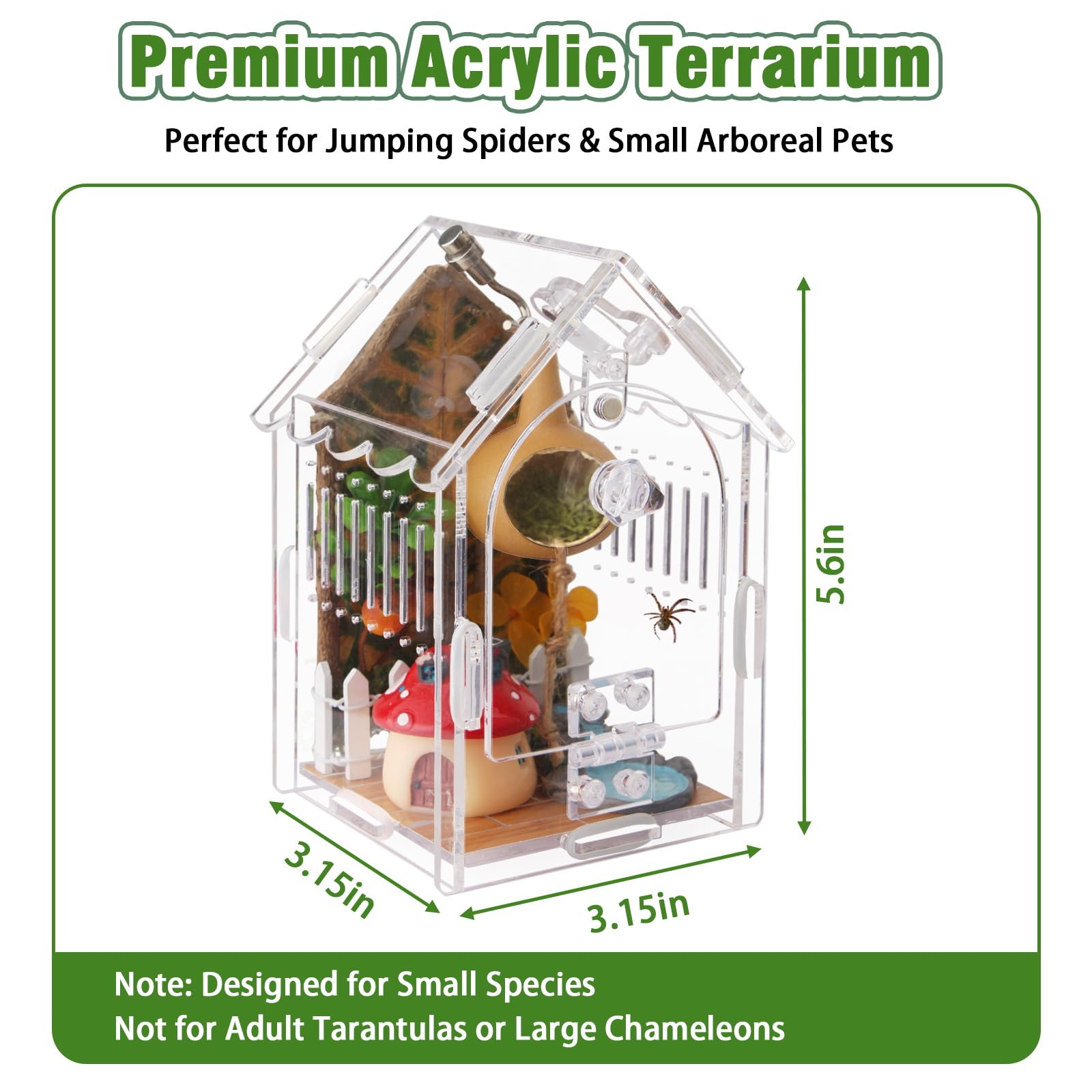WEIKEJINA Jumping Spider Enclosure side-ventilation view highlights airflow for healthy terrariums