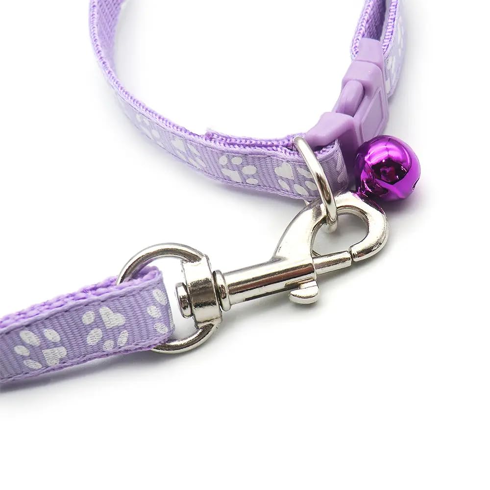 WeimoMonkey durable nylon collar stands up to daily adventures with cats and small dogs.