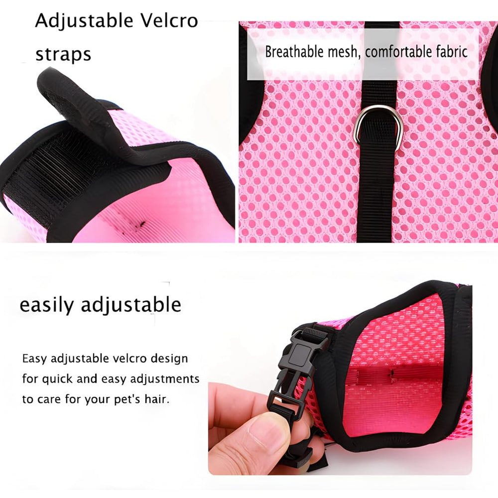 WeimoMonkey leash connection ensures safe outdoor attachment
