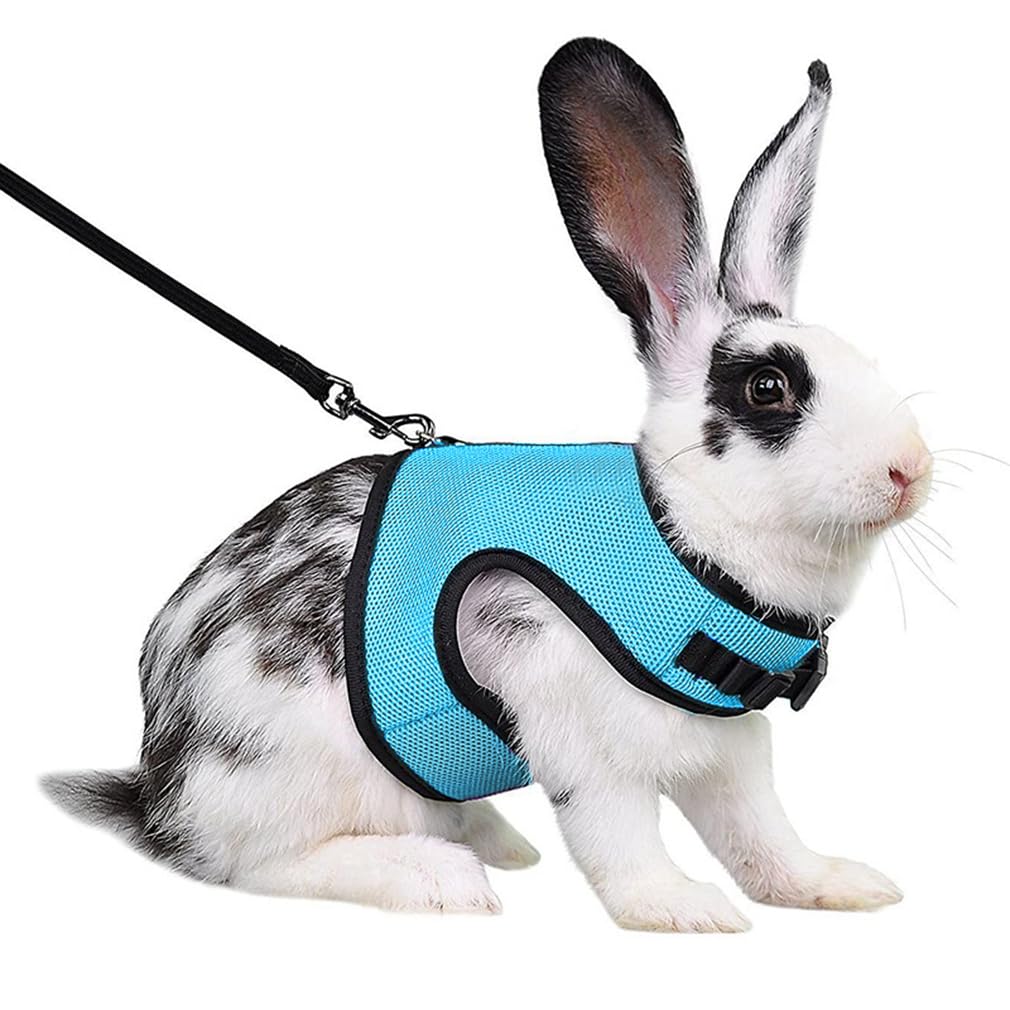 WeimoMonkey small-pet walking vest fits rabbits, ferrets, guinea pigs