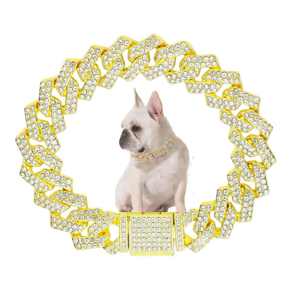 WeimoMonkey puppy chain collar in gold Cuban link shines for daily wear.