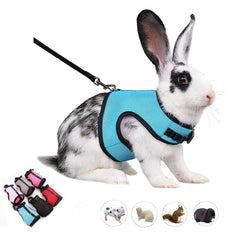 WeimoMonkey rabbit harness back D-ring secures outdoor walking