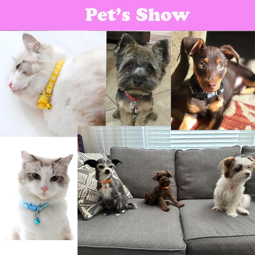 WeimoMonkey reflective pink collar improves visibility during early morning or evening walks.