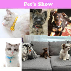 WeimoMonkey reflective pink collar improves visibility during early morning or evening walks.