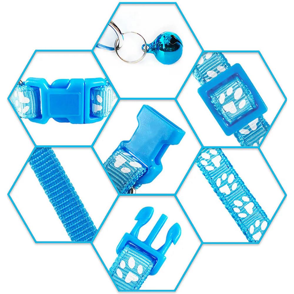 WeimoMonkey secure fit and easy adjustability prevent slipping while exploring.